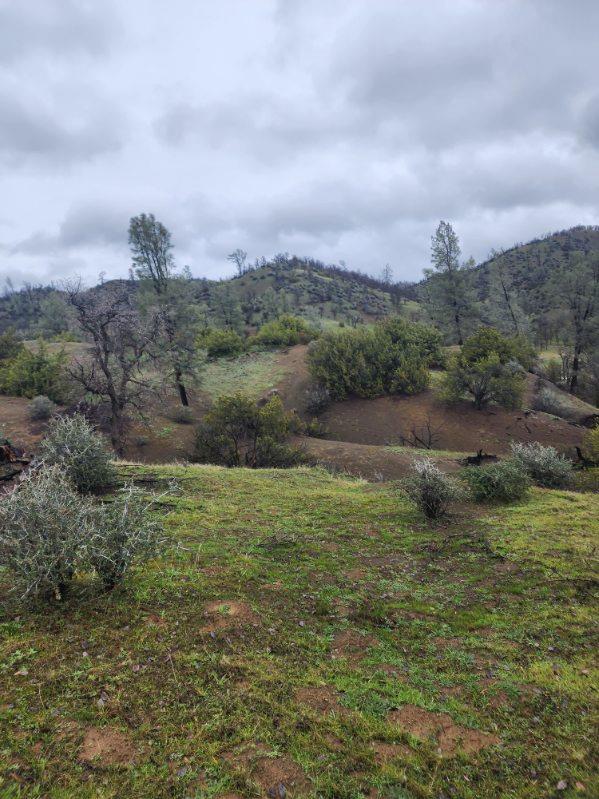 Stewart Ranch Road, Cottonwood, California image 5