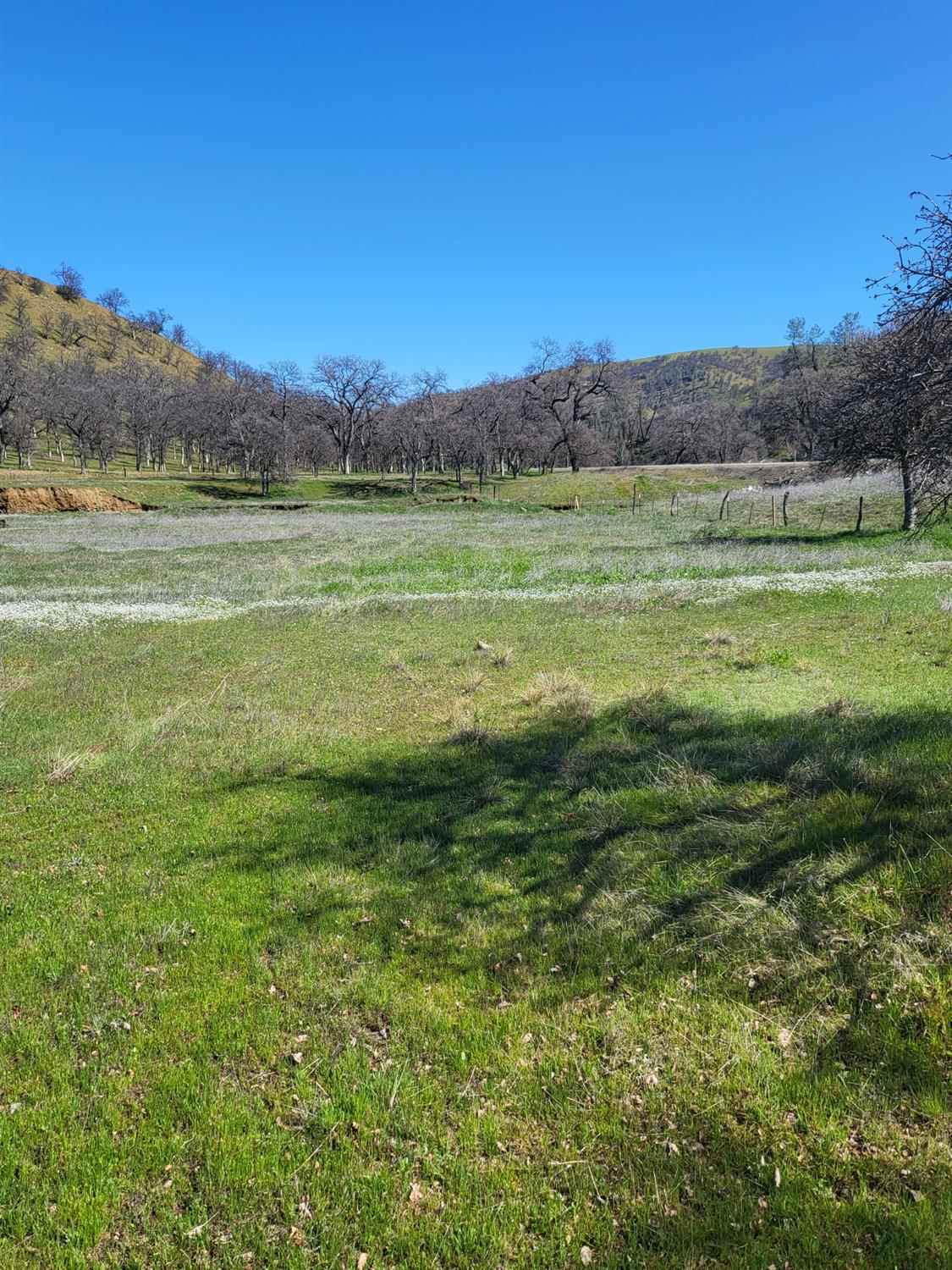 Stewart Ranch Road, Cottonwood, California image 1