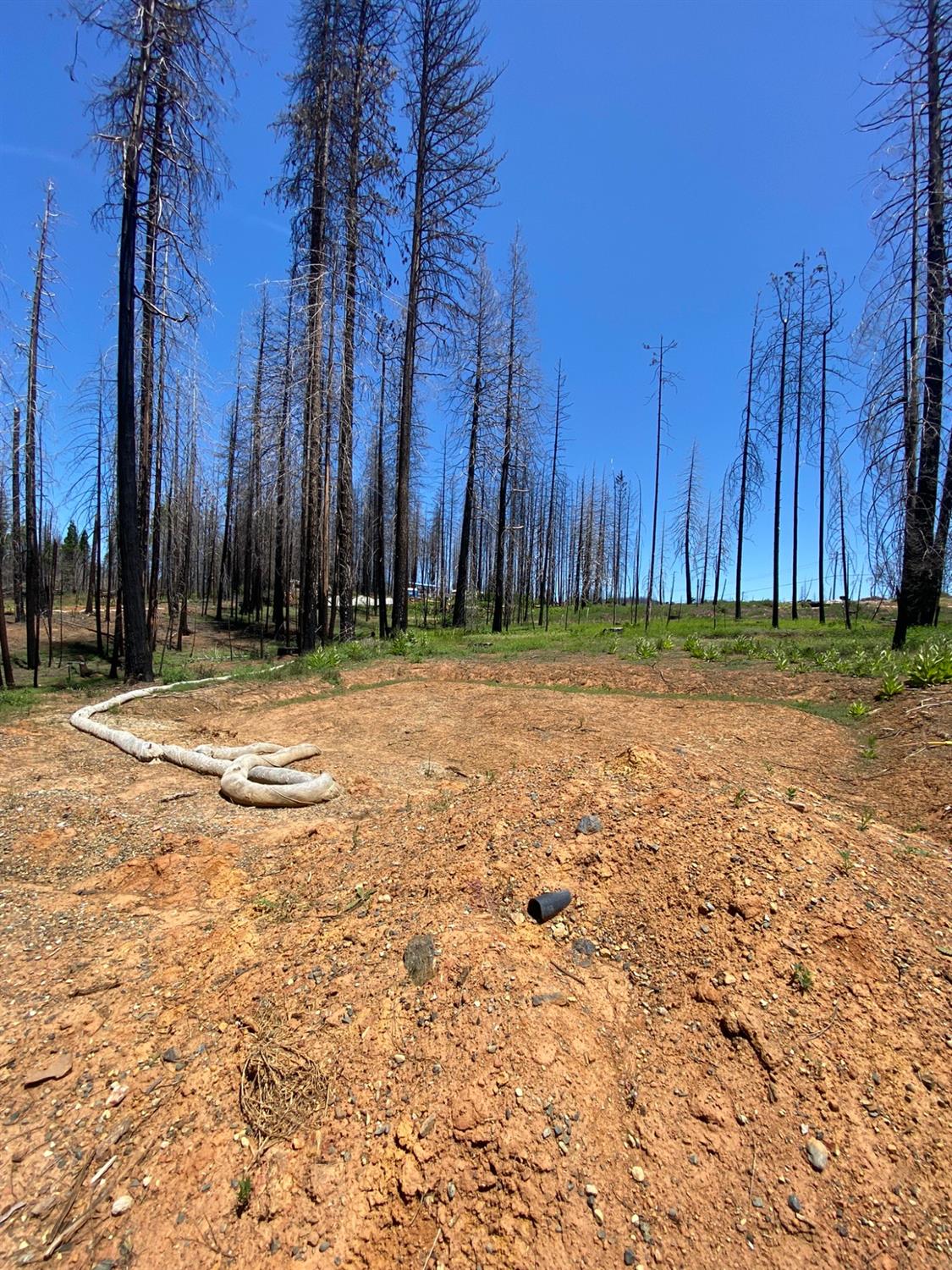 Photo of 5202 Wooded Glen Rd in Grizzly Flats, CA