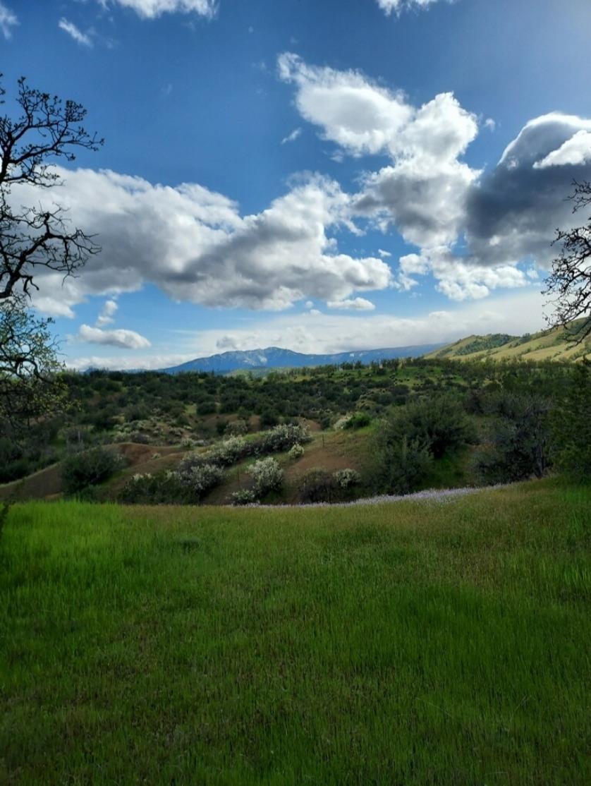 Stewart Ranch Road, Cottonwood, California image 13