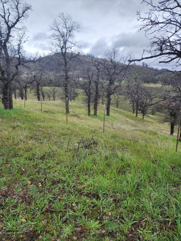 Stewart Ranch Road, Cottonwood, California image 8