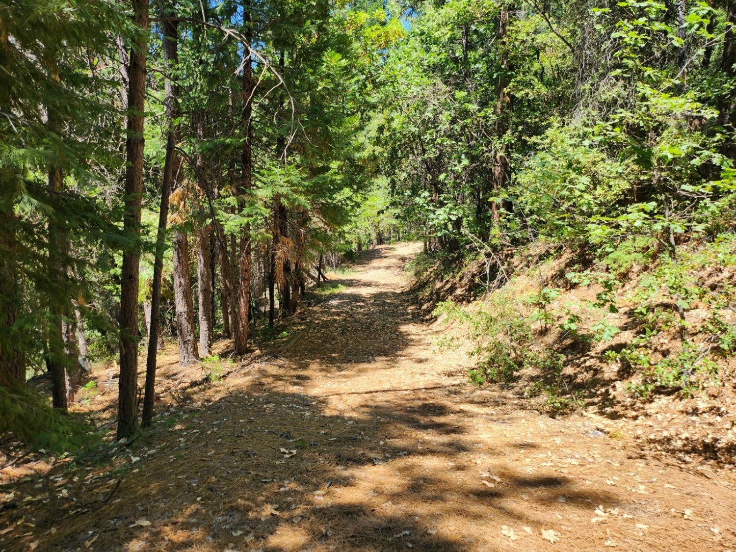 Lookout Mountain Drive, Camino, California image 31