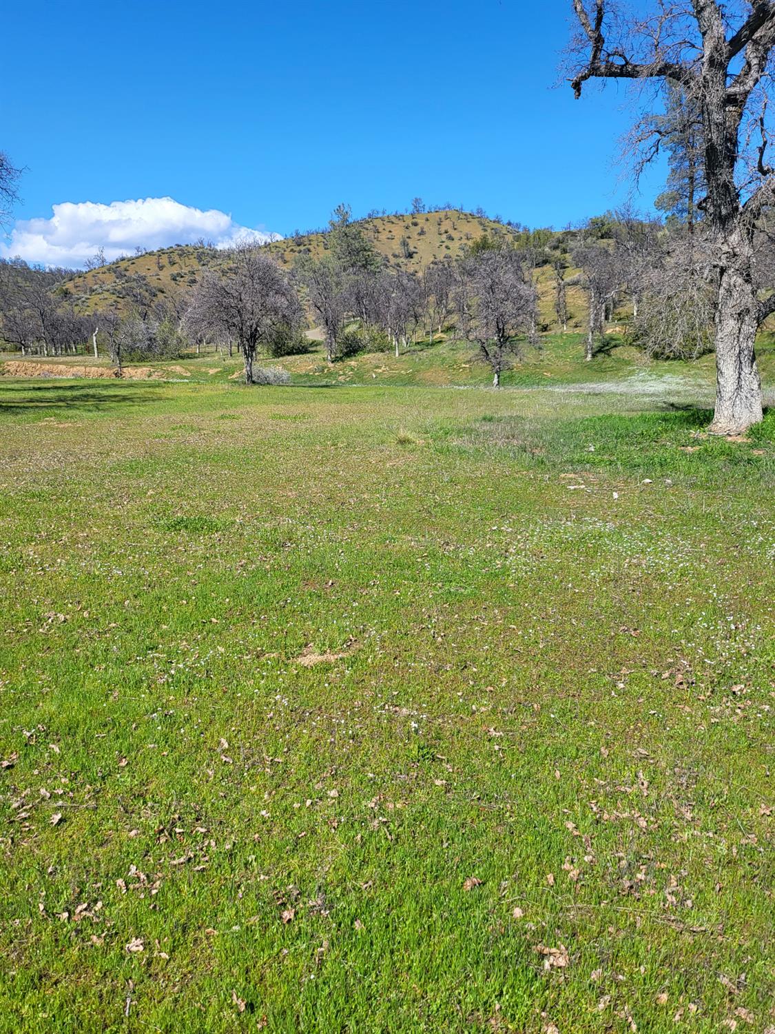 Stewart Ranch Road, Cottonwood, California image 3