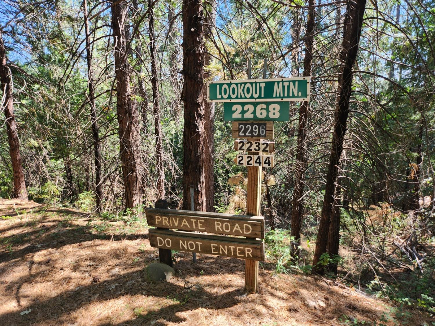 Lookout Mountain Drive, Camino, California image 44