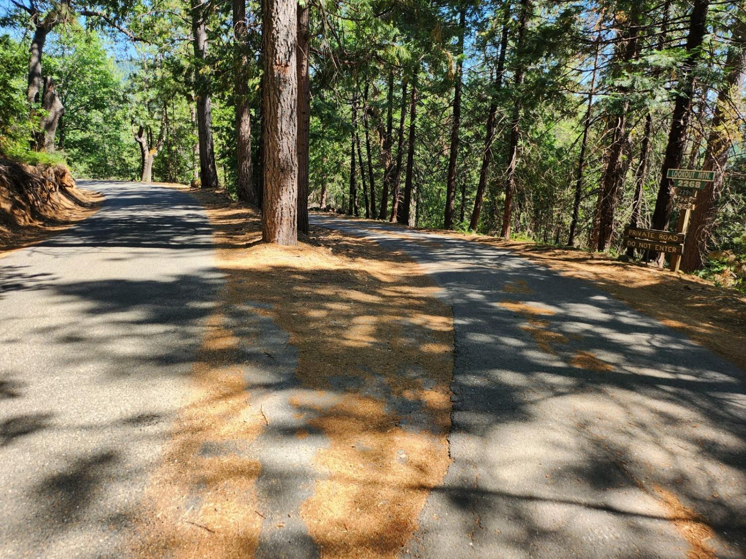 Lookout Mountain Drive, Camino, California image 43