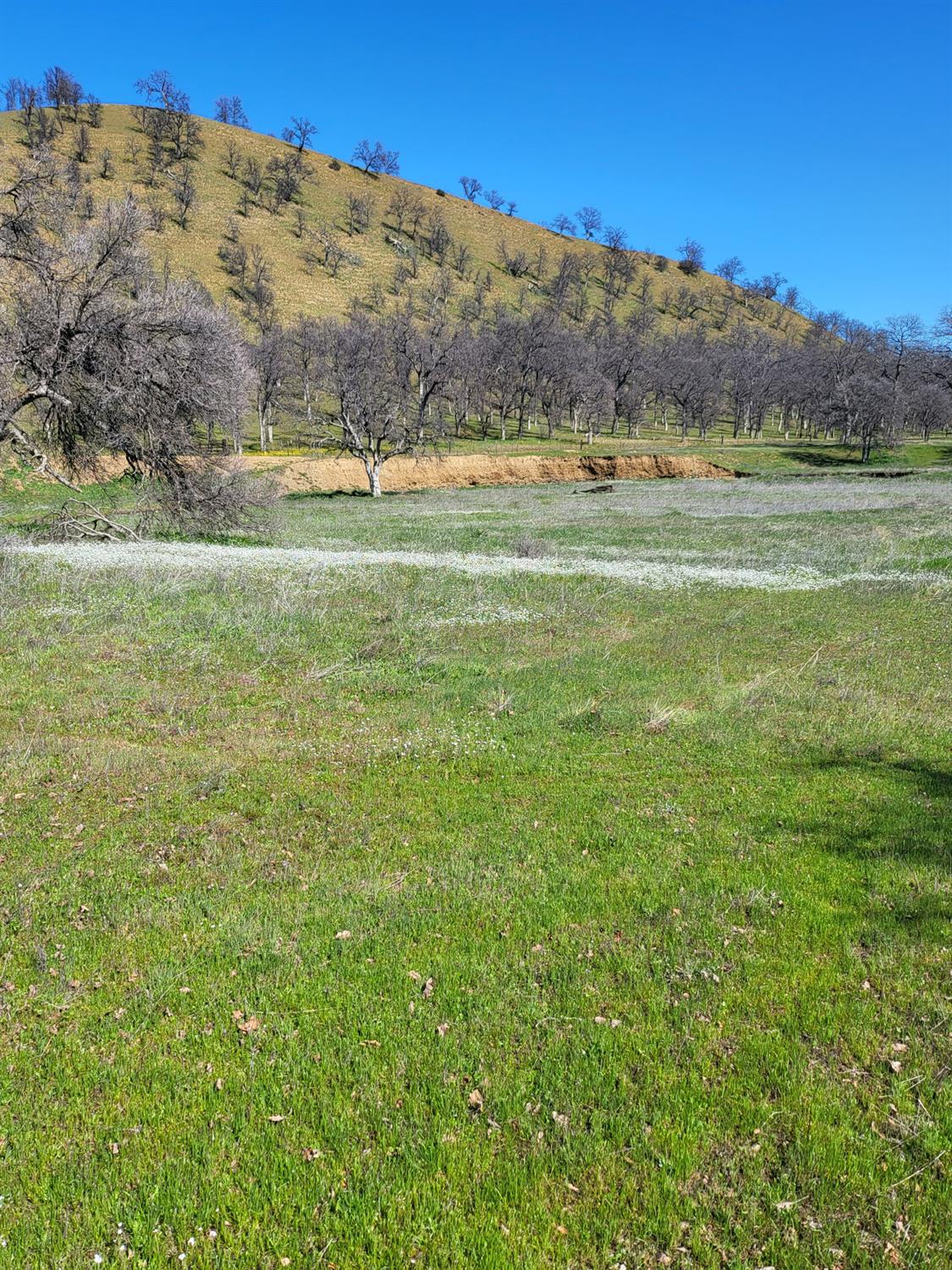 Stewart Ranch Road, Cottonwood, California image 2