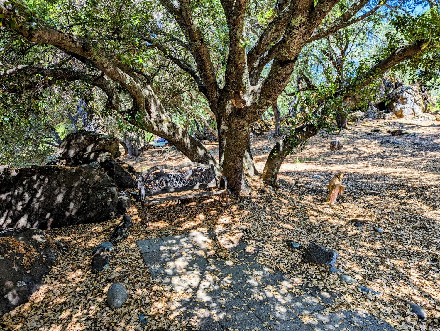 S Lake Forest Drive, Penn Valley, California image 2