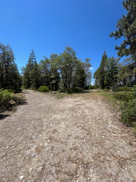 Nyack Rd, Emigrant Gap, California image 6