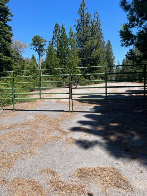 Nyack Rd, Emigrant Gap, California image 2