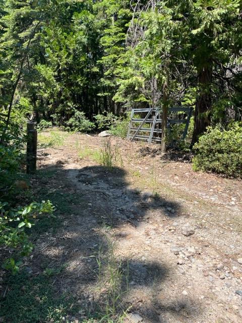 Nyack Rd, Emigrant Gap, California image 3