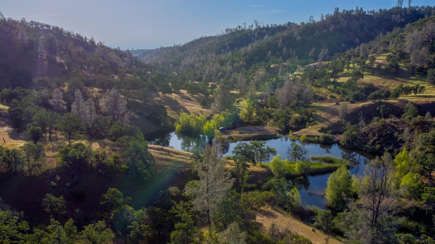 Balis Bell Road, Red Bluff, California image 5