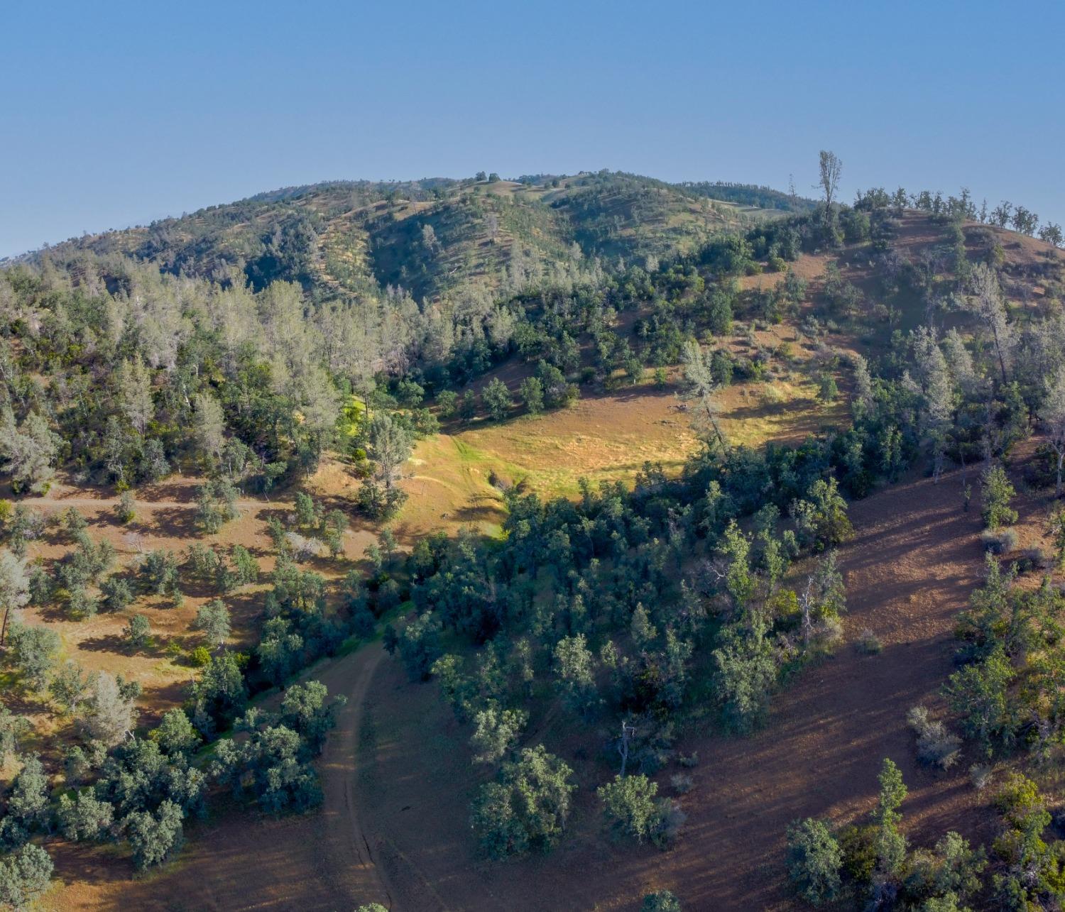 Balis Bell Road, Red Bluff, California image 10