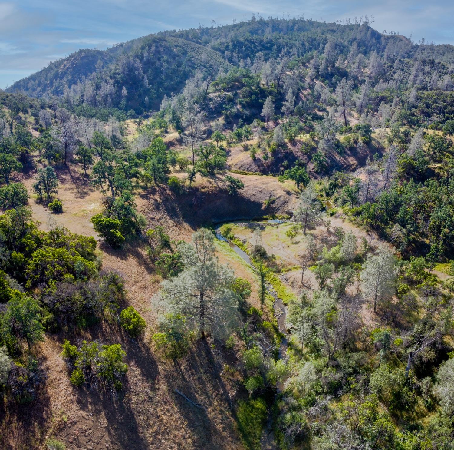 Balis Bell Road, Red Bluff, California image 15