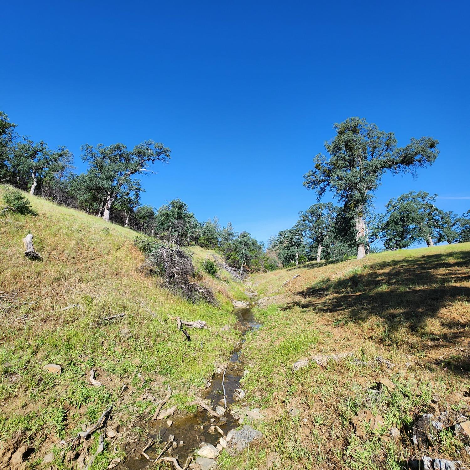 Balis Bell Road, Red Bluff, California image 29