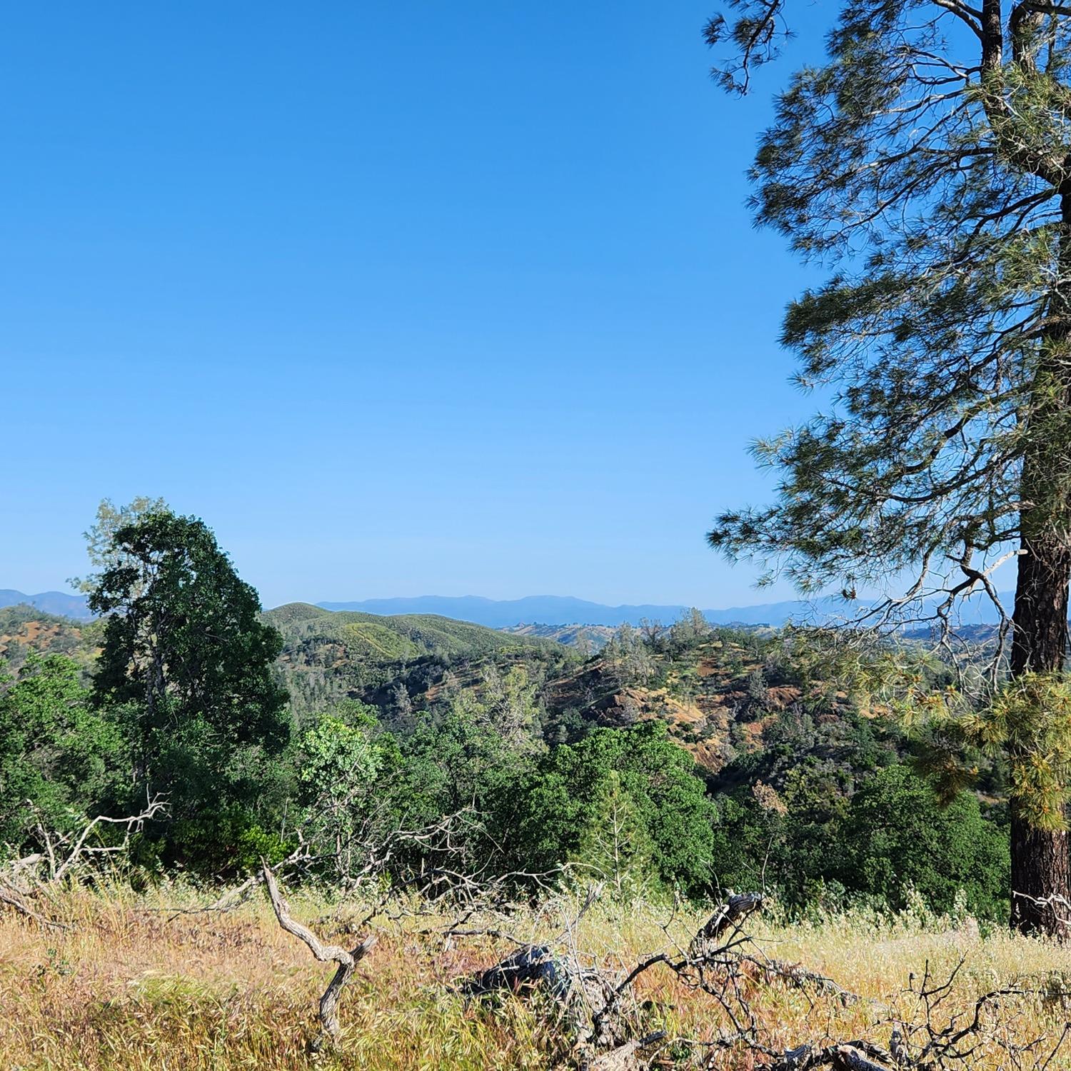 Balis Bell Road, Red Bluff, California image 27