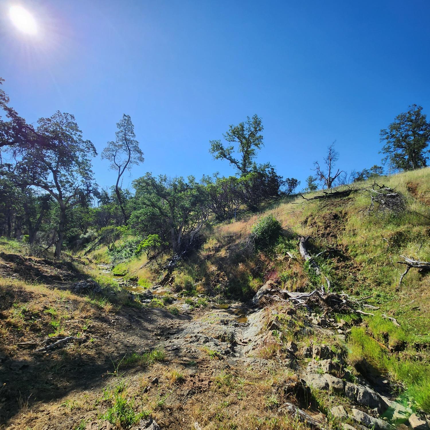 Balis Bell Road, Red Bluff, California image 30