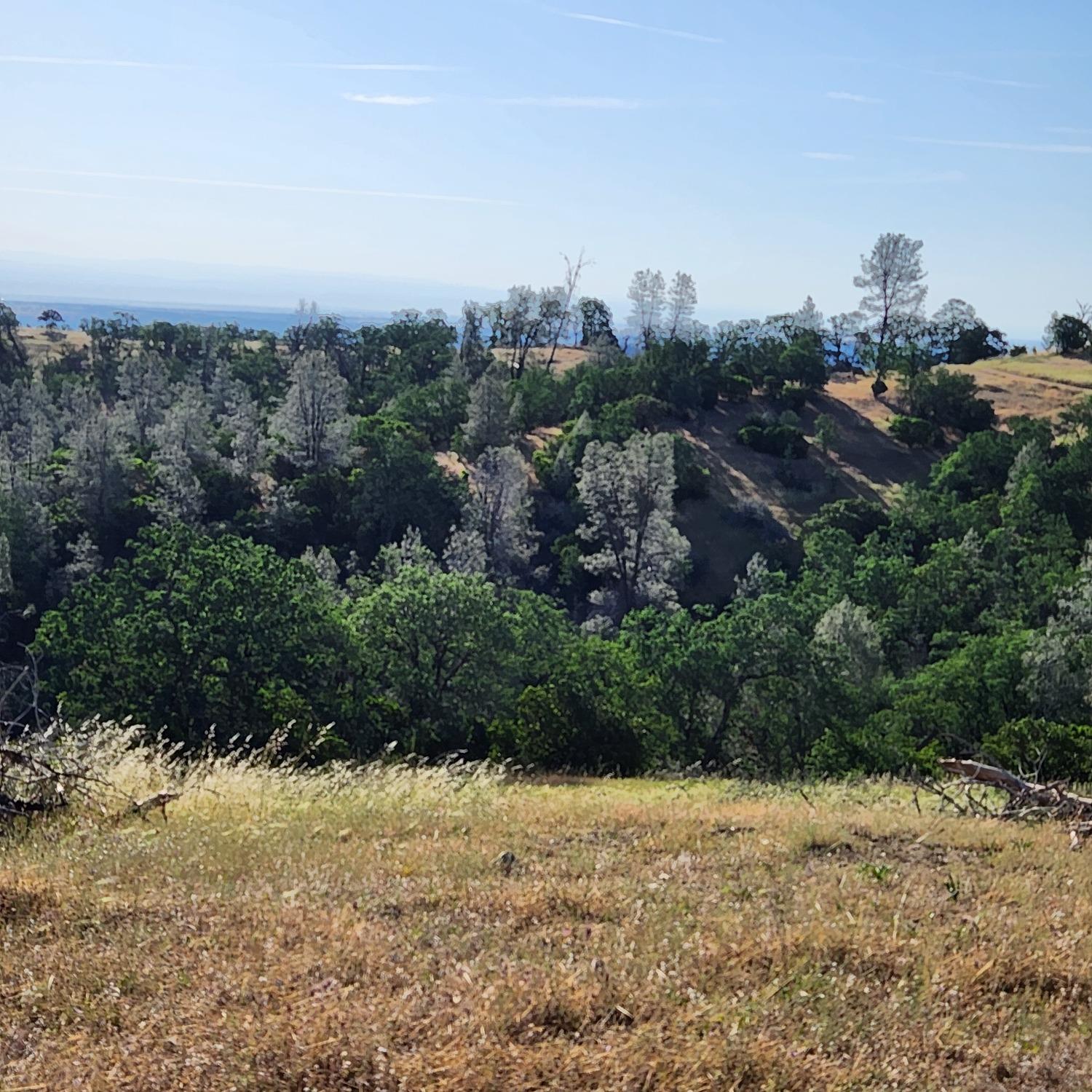 Balis Bell Road, Red Bluff, California image 25