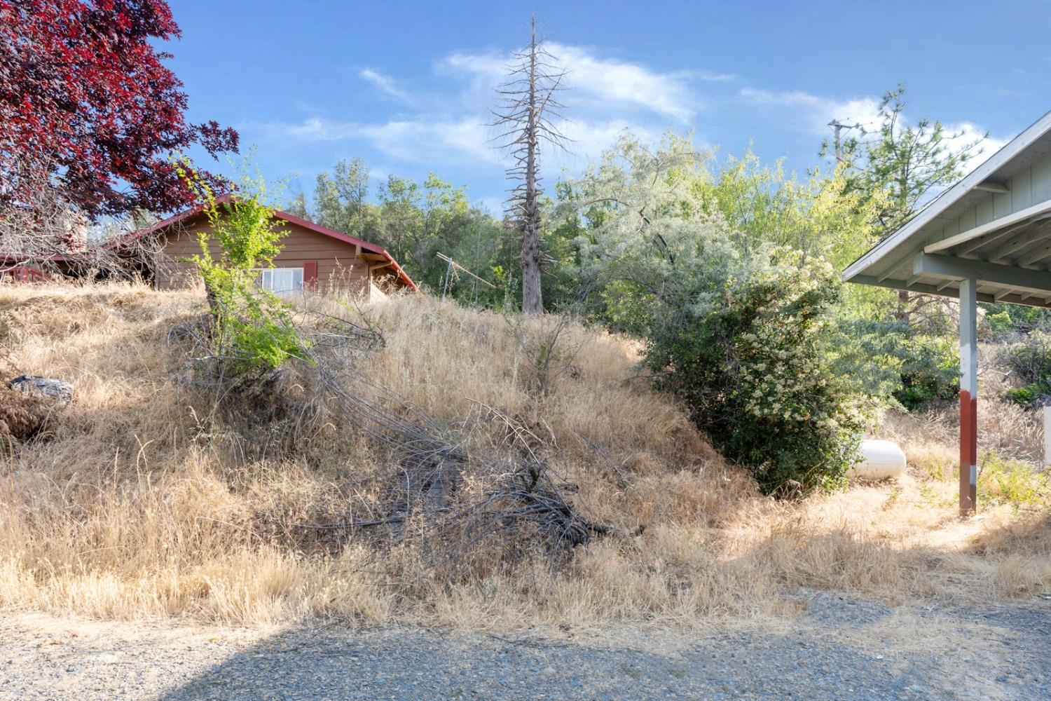 Silver Creek Road, Mariposa, California image 47