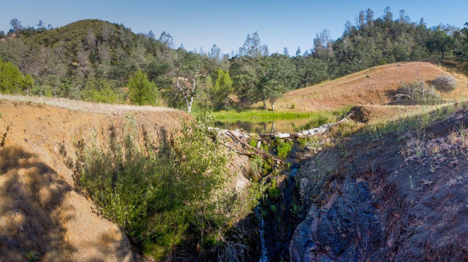 Balis Bell Road, Red Bluff, California image 9