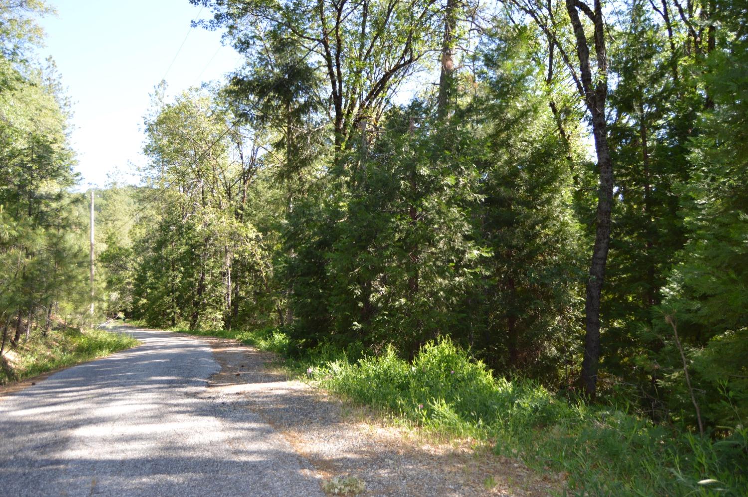 Photo of 14599 Greenpeace Ln in Grass Valley, CA