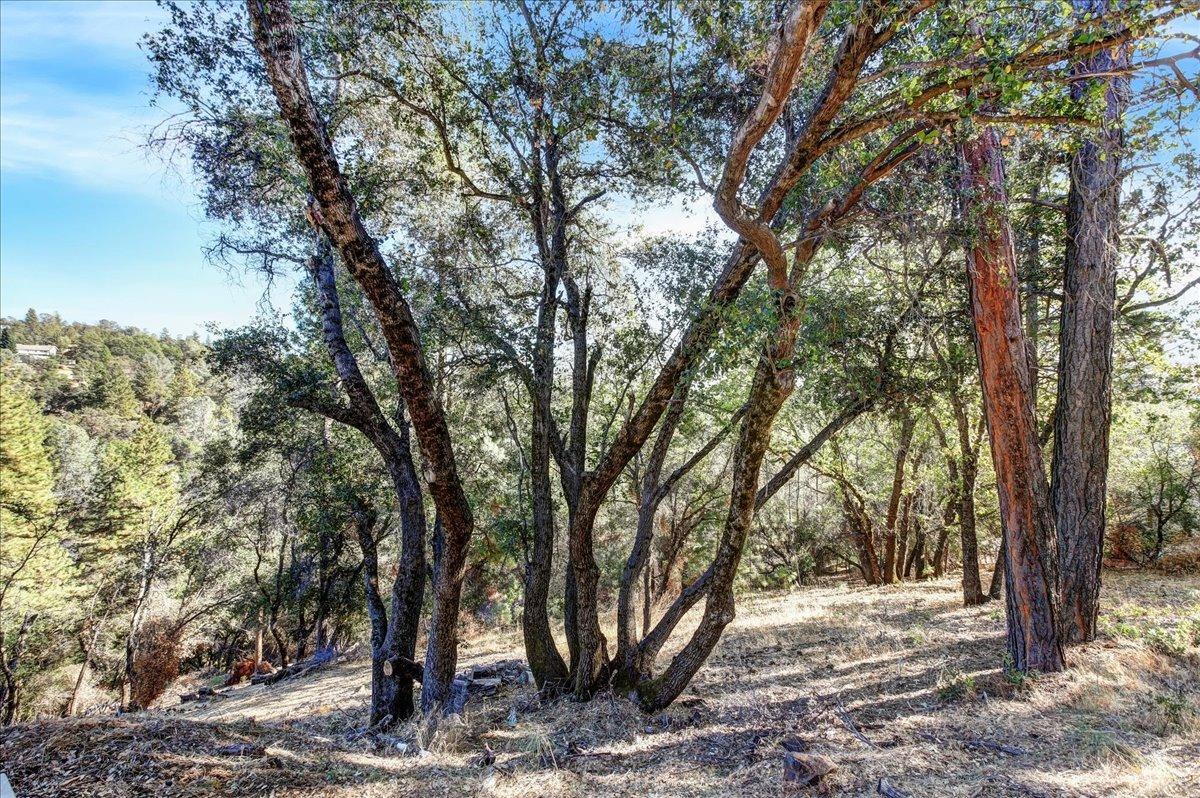 Photo of 16428 Patricia Wy in Grass Valley, CA