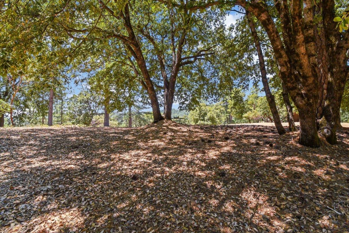 Cernon Street, Vacaville, California image 9