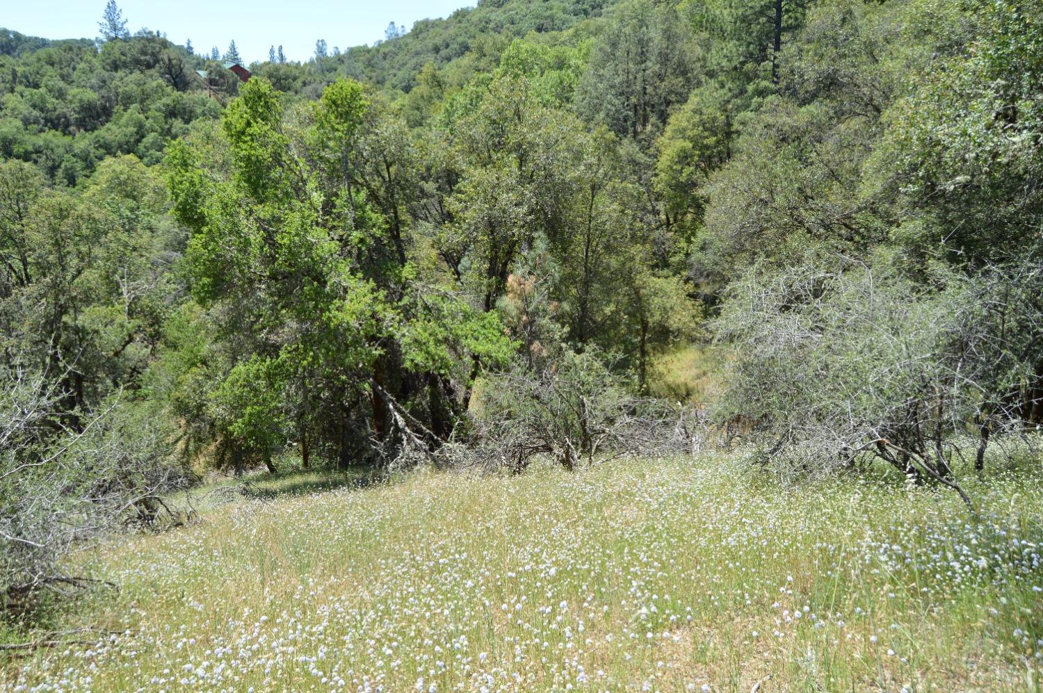 Photo of 12316 Kenneth Ct in Grass Valley, CA