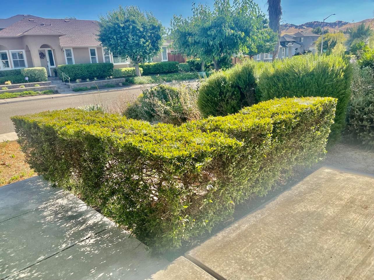 Montgomery Hill Drive, Antioch, California image 7
