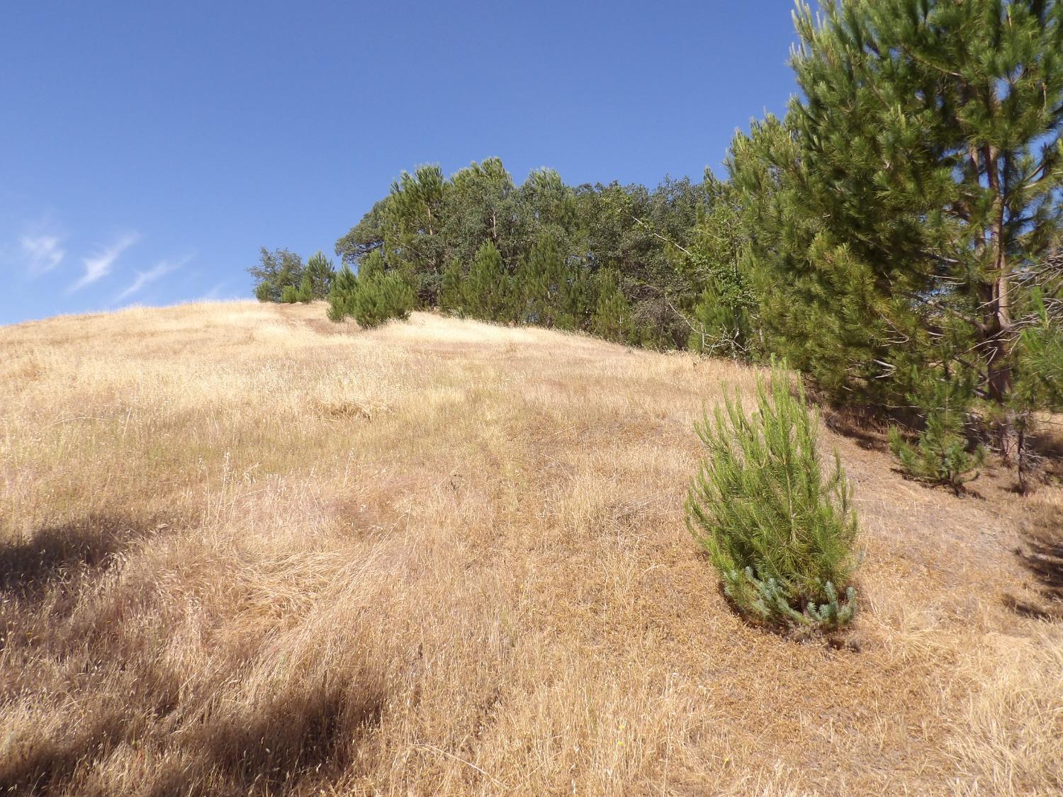 Gabor Street, Valley Springs, California image 19