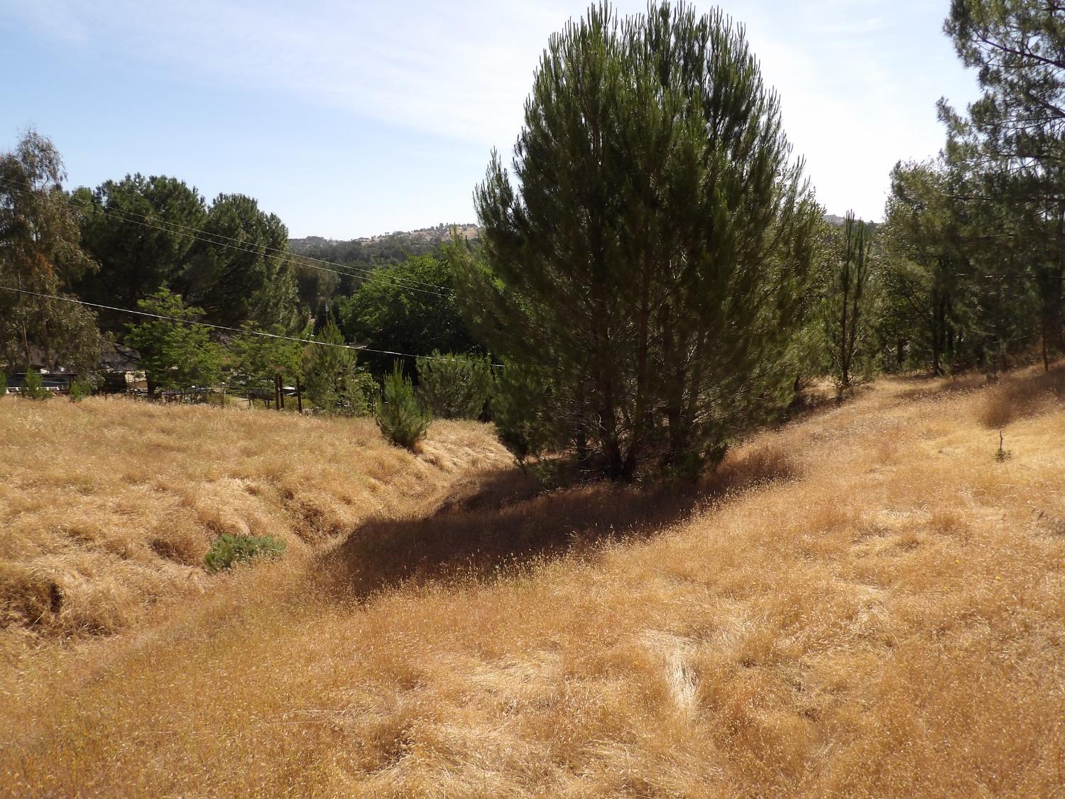 Gabor Street, Valley Springs, California image 9