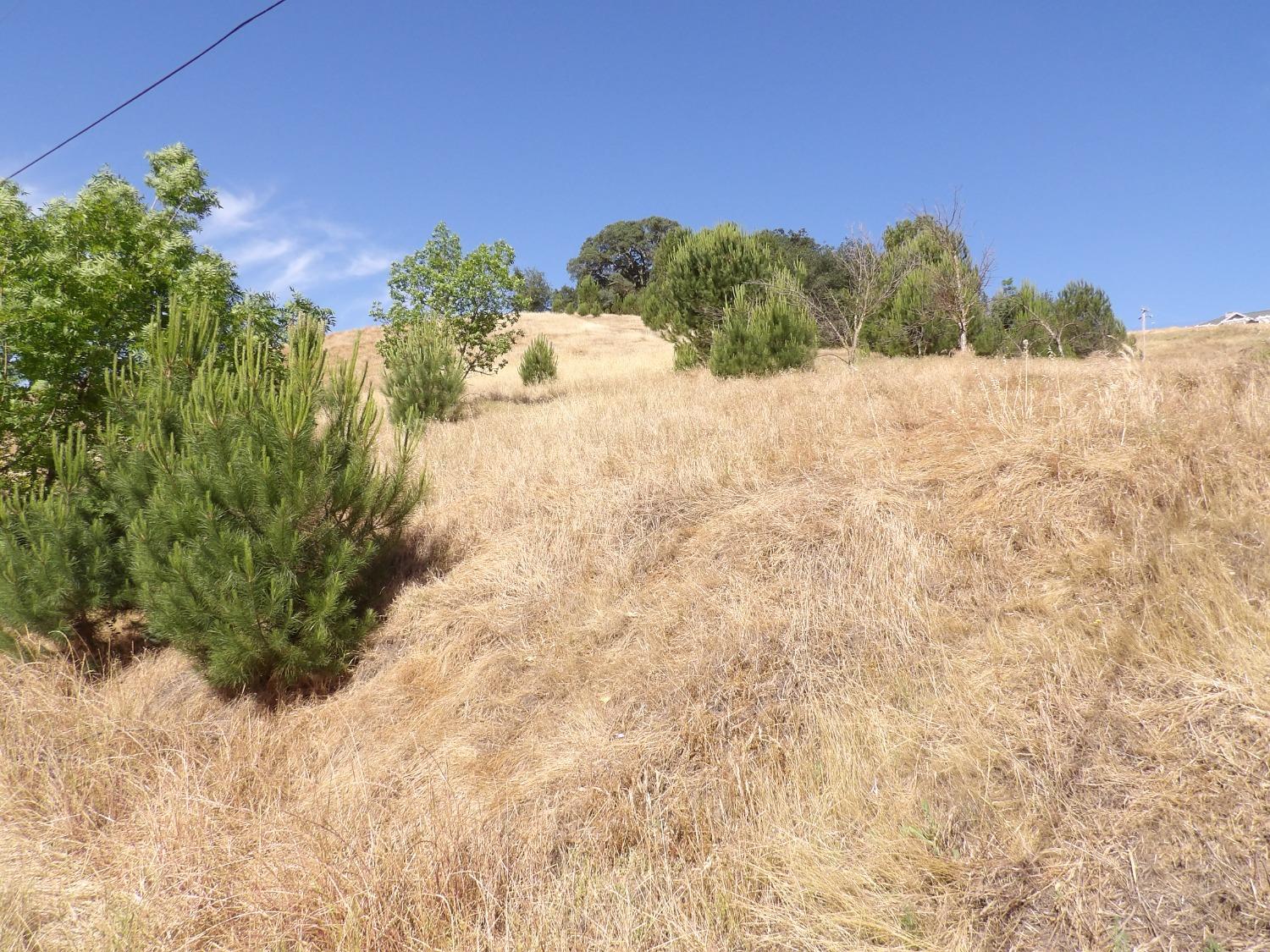 Gabor Street, Valley Springs, California image 4