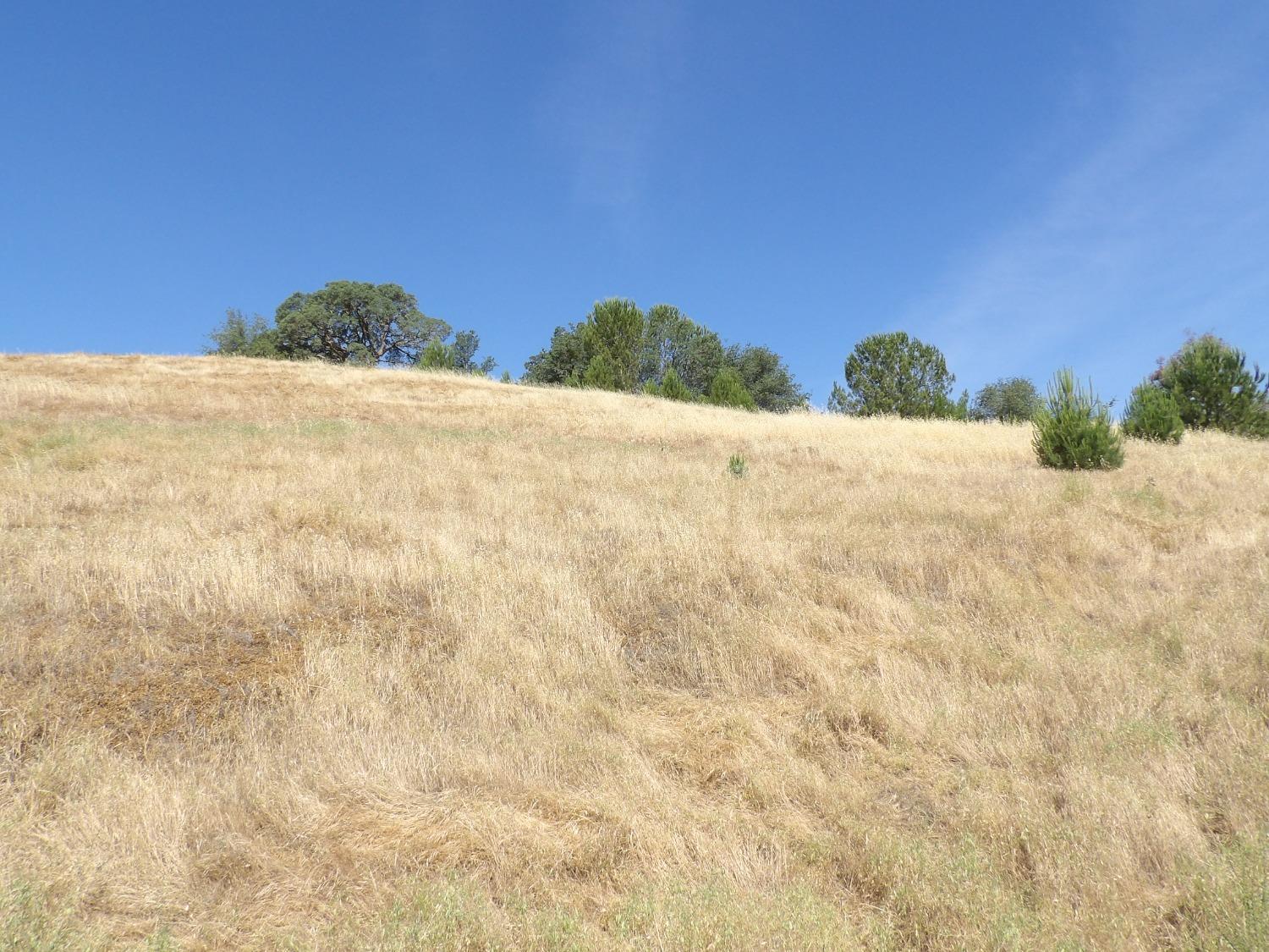 Gabor Street, Valley Springs, California image 20