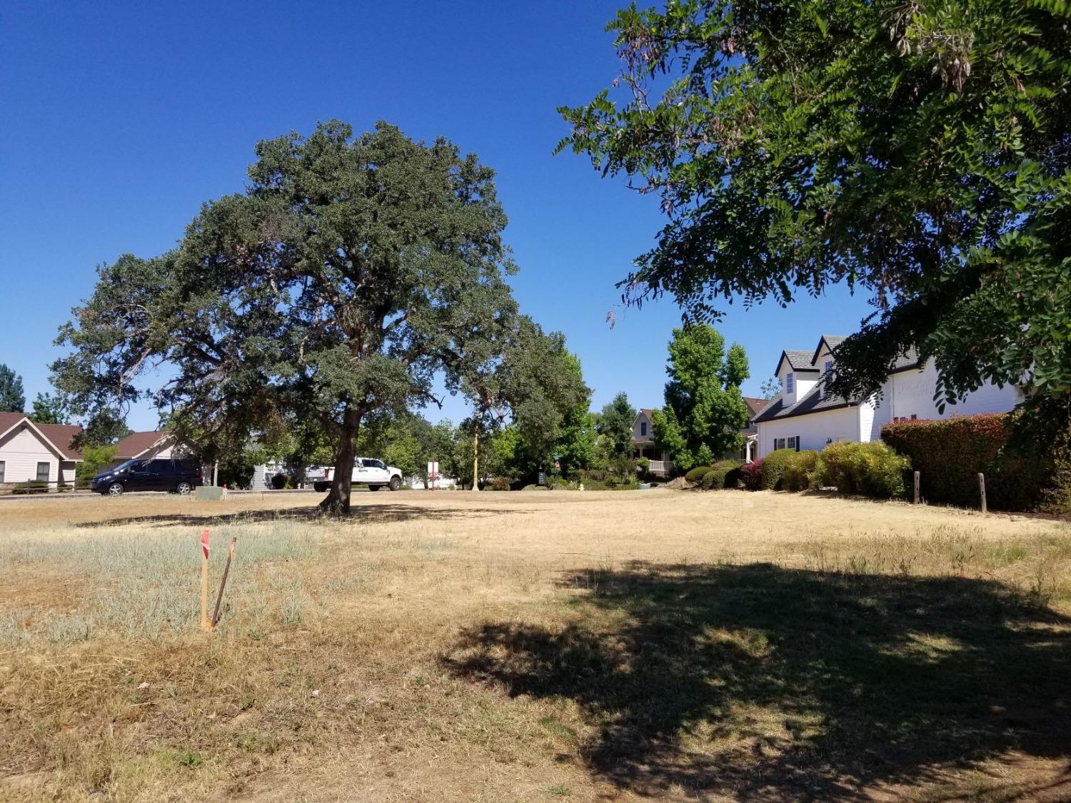 Selkirk Ranch Road, Angels Camp, California image 3