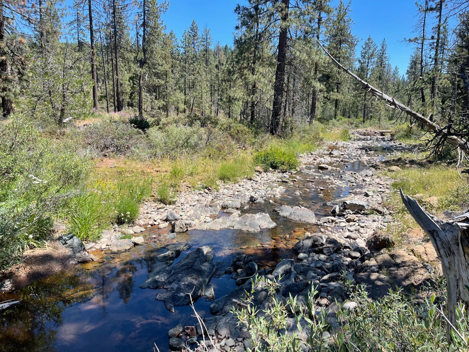 Photo of 5053 Finning Mill Rd in Foresthill, CA
