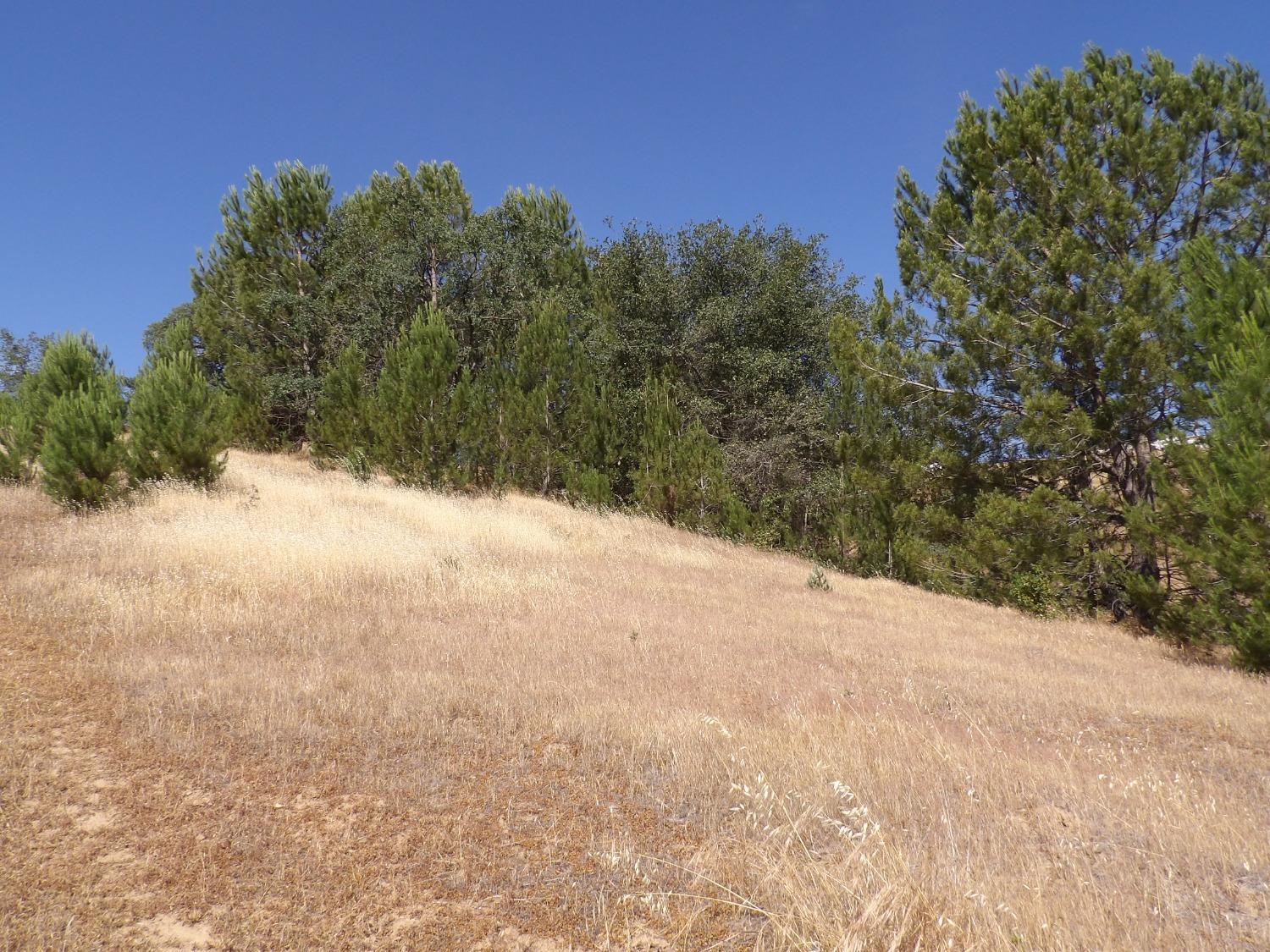 Gabor Street, Valley Springs, California image 16