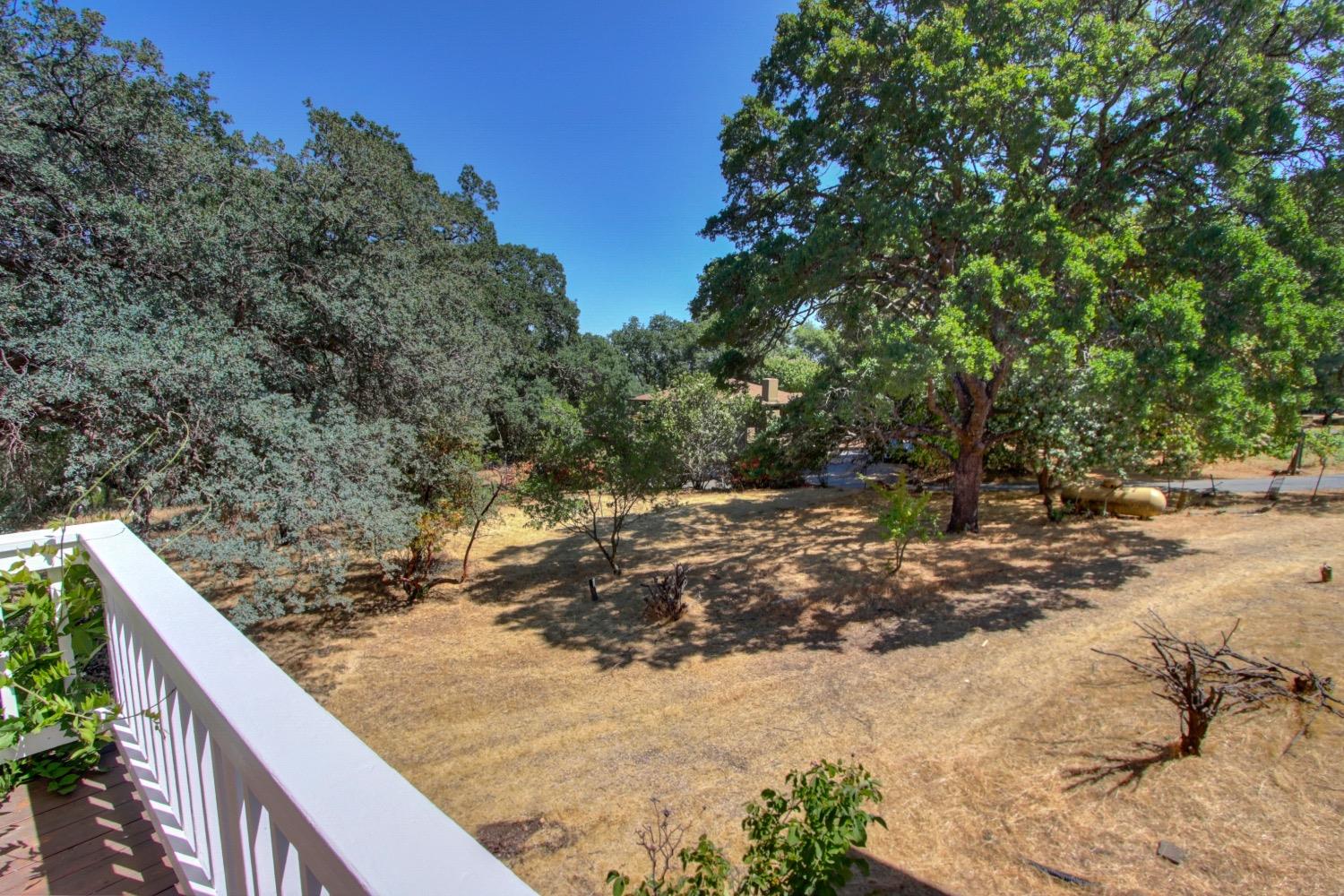 Nugget Lane, Sutter Creek, California image 12