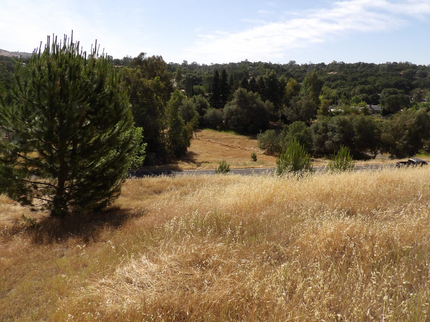 Gabor Street, Valley Springs, California image 14