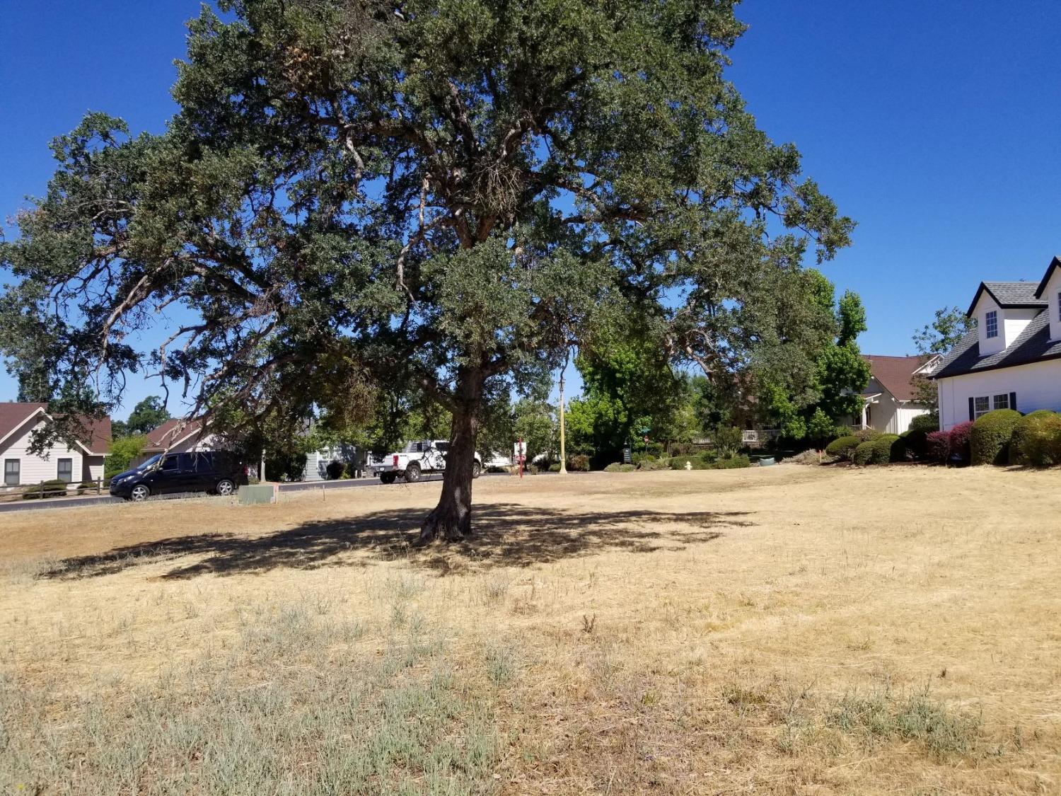 Selkirk Ranch Road, Angels Camp, California image 5