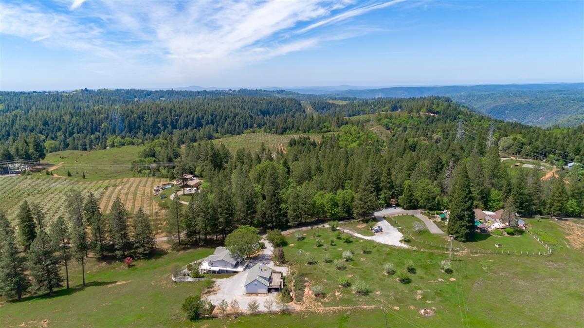 Apple Vista Lane, Camino, California image 2