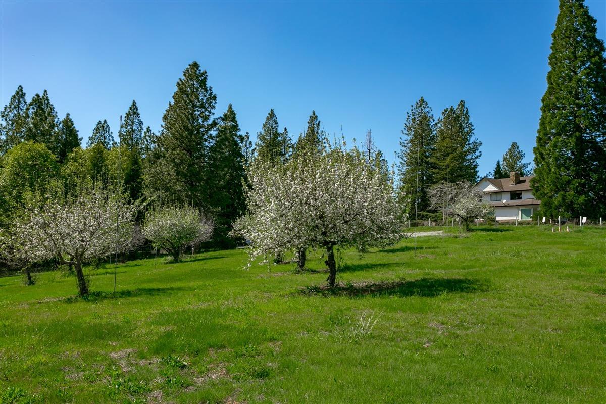 Apple Vista Lane, Camino, California image 31