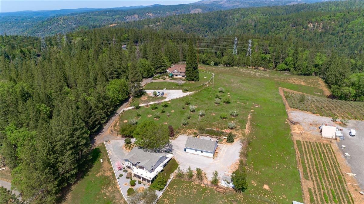 Apple Vista Lane, Camino, California image 10