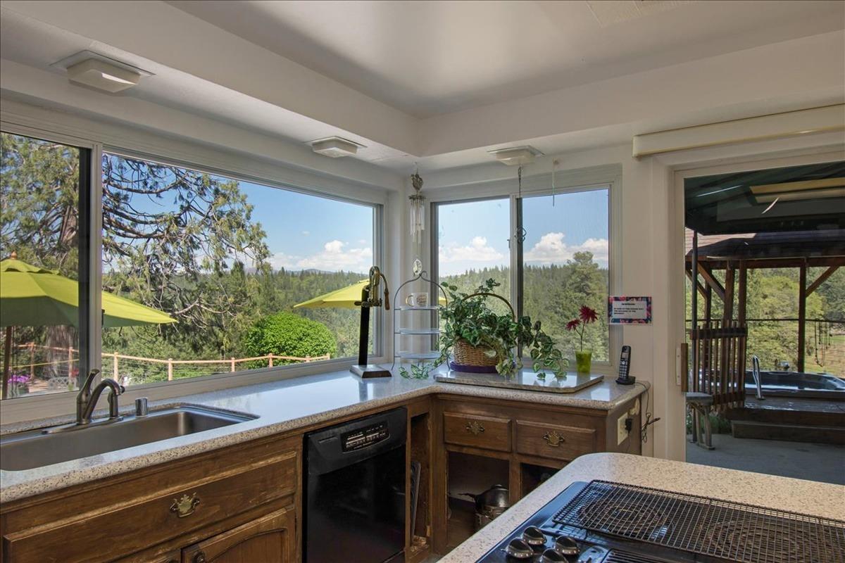 Apple Vista Lane, Camino, California image 29