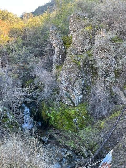 San Antonio Valley Road, Livermore, California image 9