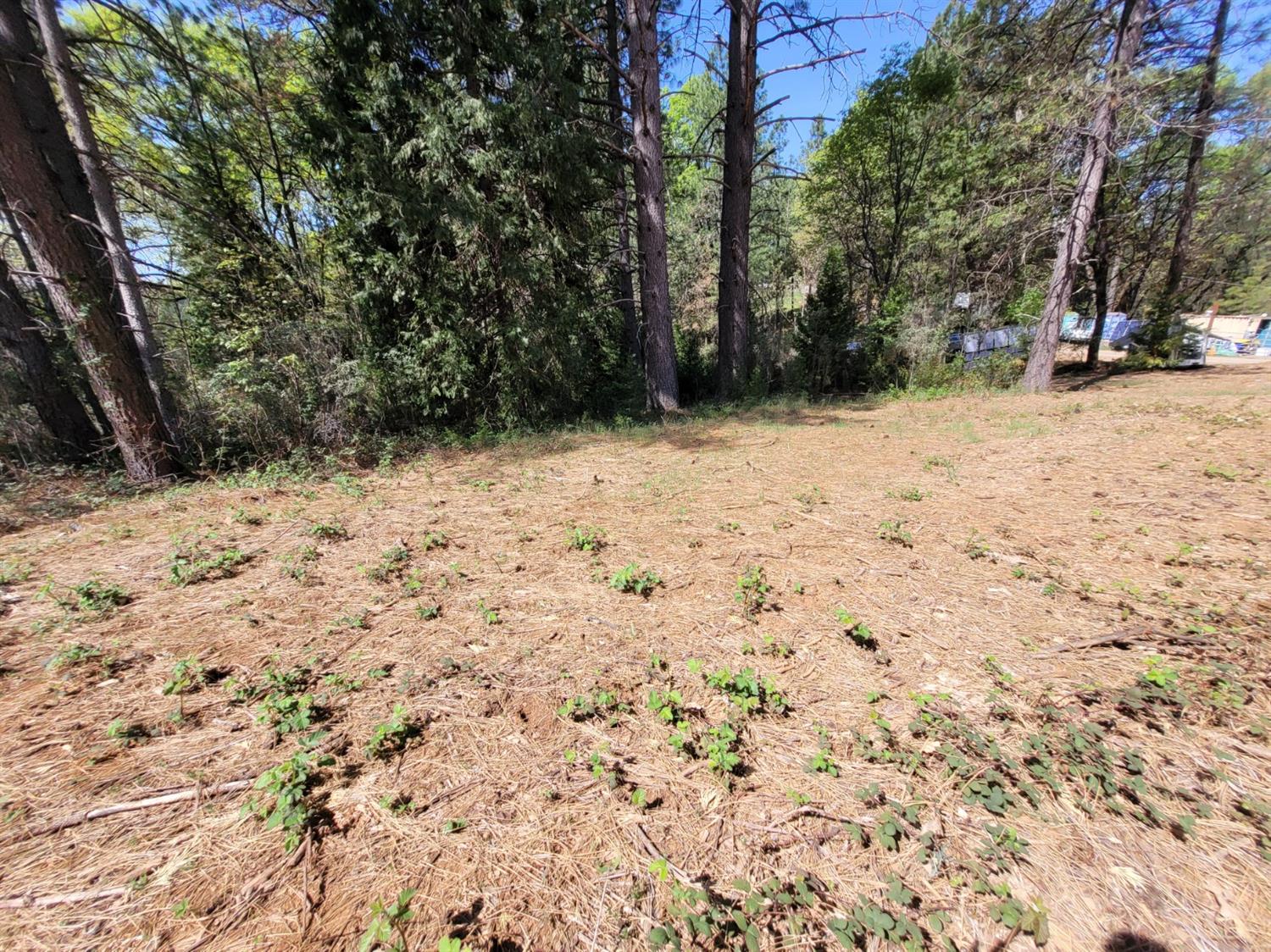 Detail Gallery Image 10 of 27 For 13560 Hopeful Hill Rd, Nevada City,  CA 95959 - – Beds | – Baths