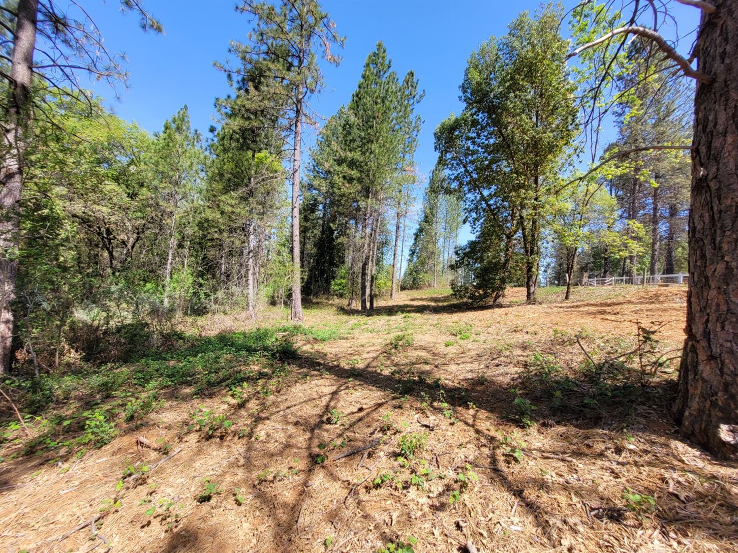 Detail Gallery Image 14 of 27 For 13560 Hopeful Hill Rd, Nevada City,  CA 95959 - – Beds | – Baths