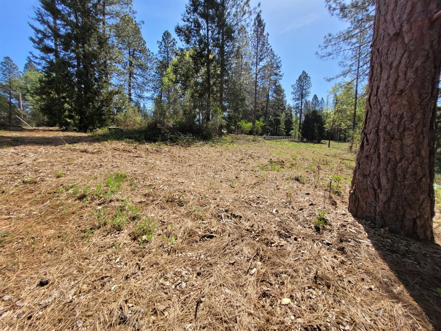 Detail Gallery Image 5 of 27 For 13560 Hopeful Hill Rd, Nevada City,  CA 95959 - – Beds | – Baths