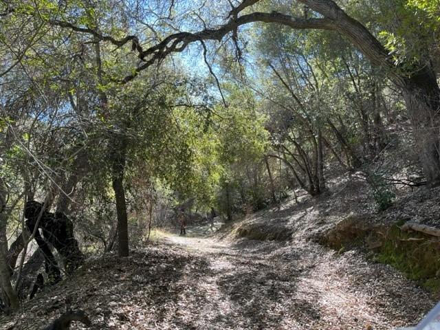 San Antonio Valley Road, Livermore, California image 6