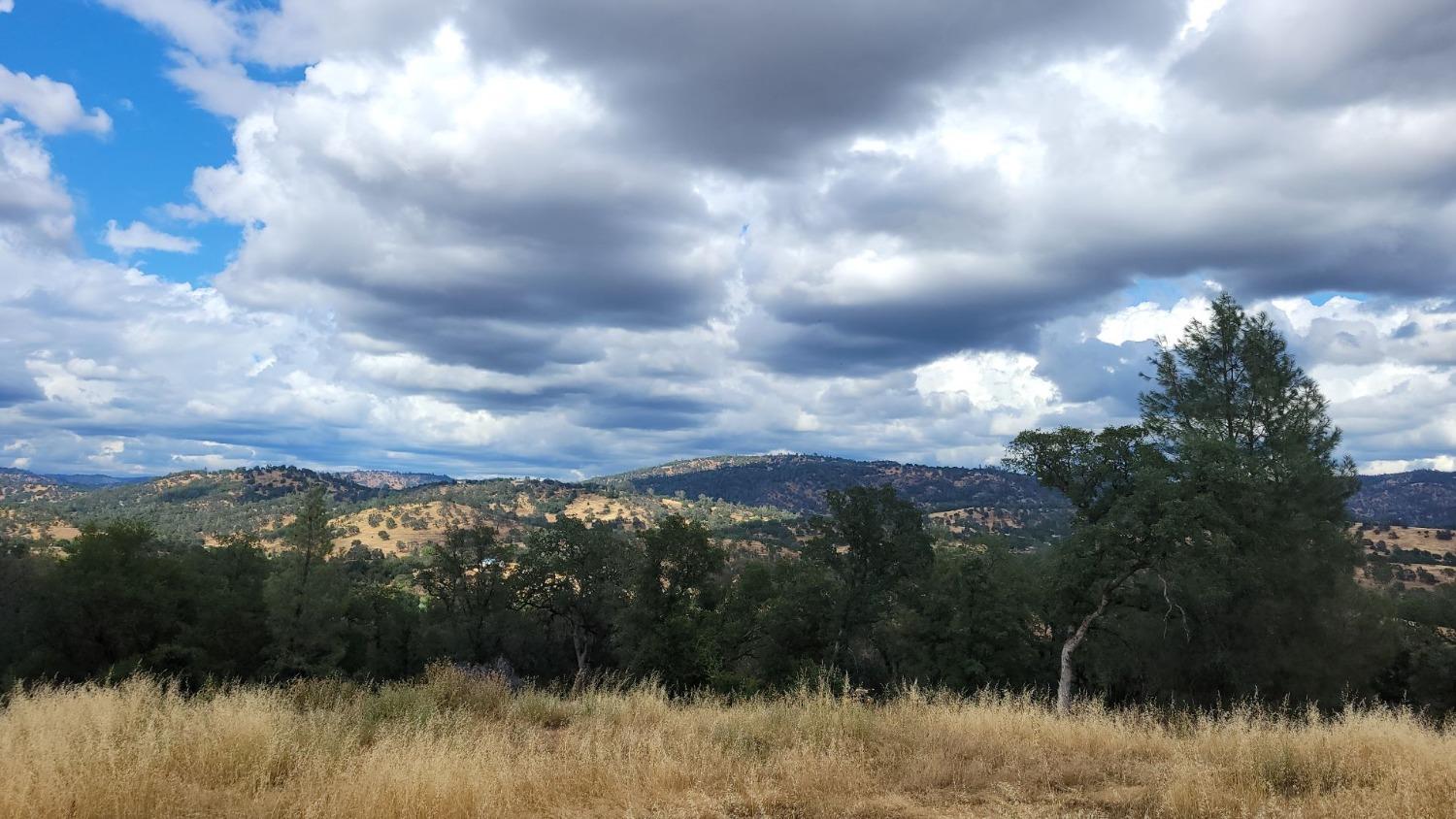 Bald Mountain Road, Browns Valley, California image 2