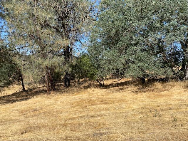 Pinon Drive, Copperopolis, California image 19