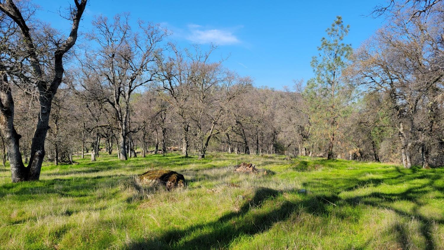 Bald Mountain Road, Browns Valley, California image 20